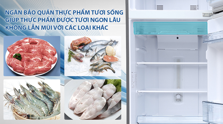Tủ lạnh Panasonic inverter 267 lít NR-BL308PSVN Ngăn bảo quản thực phẩm tươi sống