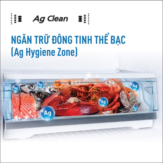 ngan-tru-dong-tinh-the-bac-ag-hygience-zone
